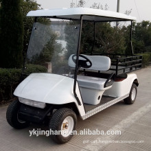 White electric utility vehicle with 2 seats from China(mainland) for sale
